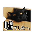 ぱとま 黒猫の兄弟 seasons（個別スタンプ：4）