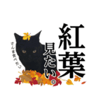 ぱとま 黒猫の兄弟 seasons（個別スタンプ：16）