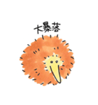 たわし鳥（個別スタンプ：12）