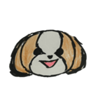 シーズー ココちゃんのイラストスタンプ（個別スタンプ：1）
