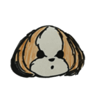 シーズー ココちゃんのイラストスタンプ（個別スタンプ：4）