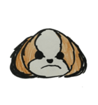 シーズー ココちゃんのイラストスタンプ（個別スタンプ：5）