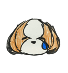 シーズー ココちゃんのイラストスタンプ（個別スタンプ：9）