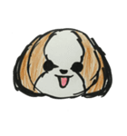 シーズー ココちゃんのイラストスタンプ（個別スタンプ：11）