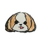 シーズー ココちゃんのイラストスタンプ（個別スタンプ：12）