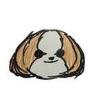 シーズー ココちゃんのイラストスタンプ（個別スタンプ：13）