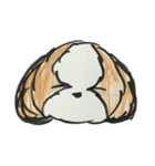 シーズー ココちゃんのイラストスタンプ（個別スタンプ：14）