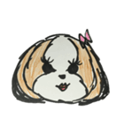 シーズー ココちゃんのイラストスタンプ（個別スタンプ：16）