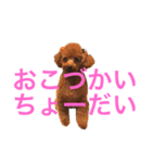 ミミが言ってるでしょーが。（個別スタンプ：1）