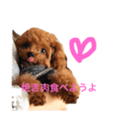 ミミが言ってるでしょーが。（個別スタンプ：2）