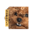 ミミが言ってるでしょーが。（個別スタンプ：7）