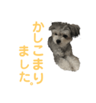 うるたんスタンプ(ビジネス編)（個別スタンプ：3）