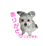 うるたんスタンプ(ビジネス編)（個別スタンプ：5）