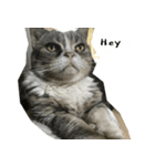 ふきげん猫ちび（個別スタンプ：2）