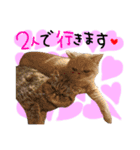 いちごいちえ✱（個別スタンプ：8）