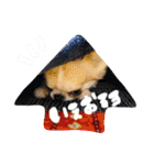 チワワの愛犬さらん（個別スタンプ：15）