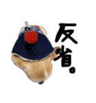 チワワの愛犬さらん（個別スタンプ：27）