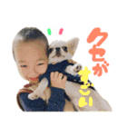 チワワの愛犬さらん（個別スタンプ：28）