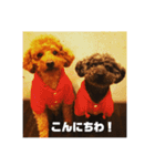 チャッピーとクッキーの日日是好日（個別スタンプ：8）
