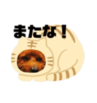チャッピーとクッキーの日日是好日（個別スタンプ：16）