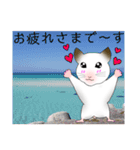 ハム子は男の子 春ver.（個別スタンプ：34）