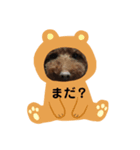 日常スタンプ  ワンちゃん（個別スタンプ：6）