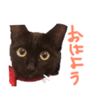 着地ちゃん♡︎（個別スタンプ：7）