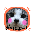 うちのりむたん（個別スタンプ：4）