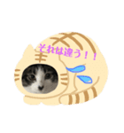 うちのりむたん（個別スタンプ：6）