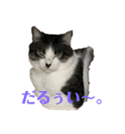 うちのりむたん（個別スタンプ：7）