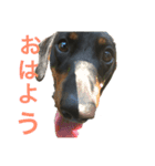 アトムエイト3（個別スタンプ：1）