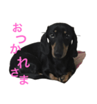 アトムエイト3（個別スタンプ：3）
