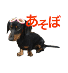 アトムエイト3（個別スタンプ：10）