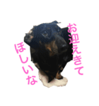 アトムエイト3（個別スタンプ：13）