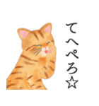 猫（大人の図鑑シール）・可愛い動物系（個別スタンプ：1）