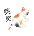 猫（大人の図鑑シール）・可愛い動物系（個別スタンプ：3）