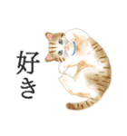 猫（大人の図鑑シール）・可愛い動物系（個別スタンプ：8）