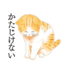 猫（大人の図鑑シール）・可愛い動物系（個別スタンプ：12）