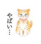 猫（大人の図鑑シール）・可愛い動物系（個別スタンプ：13）