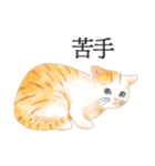 猫（大人の図鑑シール）・可愛い動物系（個別スタンプ：14）