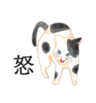 猫（大人の図鑑シール）・可愛い動物系（個別スタンプ：16）