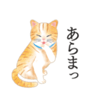 猫（大人の図鑑シール）・可愛い動物系（個別スタンプ：22）