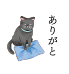 猫（大人の図鑑シール）・可愛い動物系（個別スタンプ：24）