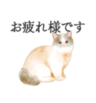 猫（大人の図鑑シール）・可愛い動物系（個別スタンプ：33）