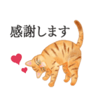 猫（大人の図鑑シール）・可愛い動物系（個別スタンプ：37）