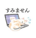 猫（大人の図鑑シール）・可愛い動物系（個別スタンプ：39）