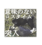 黒いネコ Darkness cat（個別スタンプ：5）