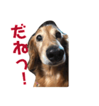 山田プチ②（個別スタンプ：3）