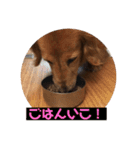 山田プチ②（個別スタンプ：5）
