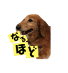 山田プチ②（個別スタンプ：13）